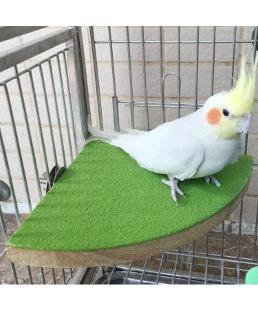 KINTOR 7-inch Green Bird Perch Stand for Small Medium Birds and Small Animals - Buy Online on GoSupps.com