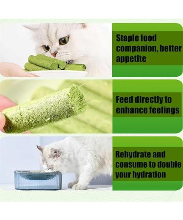 Cat Grass Teething Sticks for Indoor Cats Natural Cat Grass Sticks Cat Grass Chew Stick Chicken Cat Grass Tooth Grinding Stick for Hairball Removal (3-Pack) - Buy Online on GoSupps.com