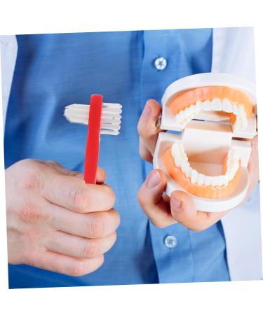 Beaupretty 4-Piece Travel Toothbrush Set for Prosthesis Care | Ultimate Cleaning Tools for Retainers & Prosthetic Brushes - Buy Online on GoSupps.com