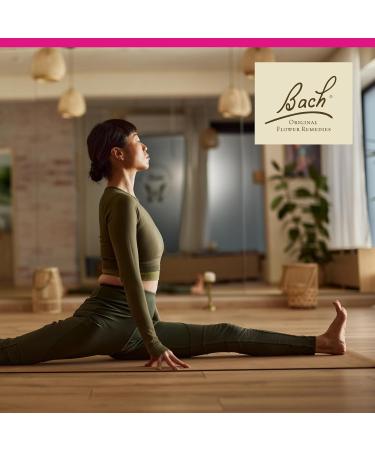 Bach Original Flower Remedies Oak - Restore Endurance - Natural Homeopathic Flower Essence for Emotional Balance - Vegan Gluten Free Sugar Free - 20mL Dropper - Buy Online on GoSupps.com