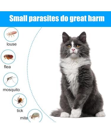 4 STK Flea Collar for Dogs - Adjustable Anti-Flea Teckenschutz Neck Band | 24 Months Protection for All Breeds - Buy Online on GoSupps.com