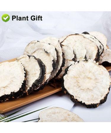 100% Dried Black Maca Root 120G/4.23oz th d caf in frais non - OGM Chine tisane v g tale - Buy Online on GoSupps.com