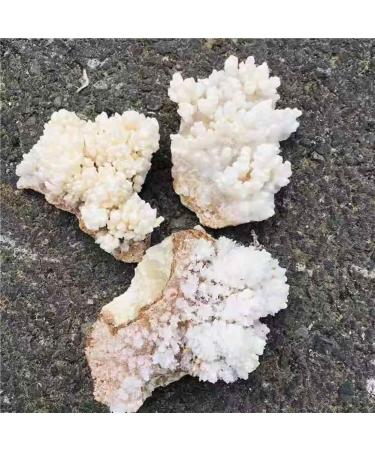 1pc 100g-580g Natural Raw Rough Rock Specimen White Stalactite Crystal Cluster for Home Decoration HOMEZHOU (Size : 1pc 290g-340g) - Buy Online on GoSupps.com