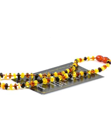 Baltic Amber Necklace 13 inch - Genuine Unisex Jewelry from Baltic Region - Buy Online on GoSupps.com