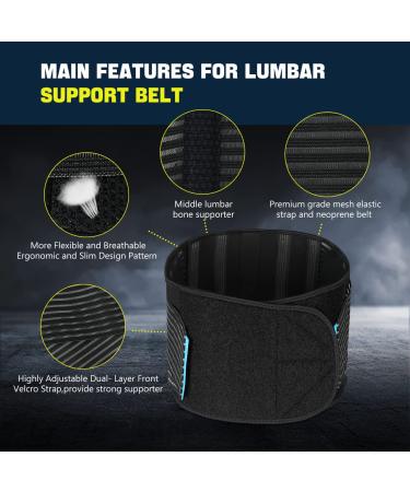 Back Brace Lumbar Support Belt for Lower Back Pain Relief - Heavy Lifting, Sciatica, Herniated Disc - Compression Belt for Men and Women - Large - Buy Online on GoSupps.com