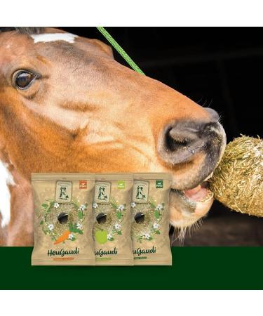 M hldorfer HeuGaudi Carrot - 1 kg | 100% Natural Snacking Fun with Exclusive Hanging Rope | Buy Now for International Shipping - Buy Online on GoSupps.com