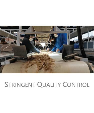 Vigorwell Premium 4-Year Bulk American Ginseng (1LB/454G/16OZ X 3 Bags)-Value Pack Save 15% - Buy Online on GoSupps.com