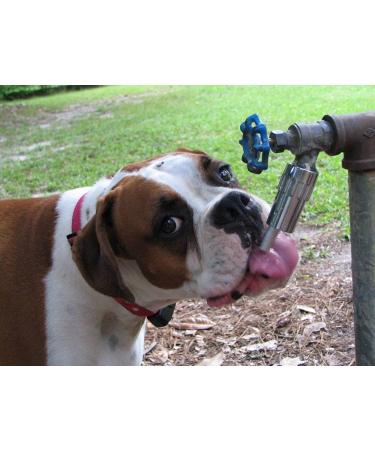 Lixit L100 Automatic Water Faucet Fountain for Pets - 1 Pack - Buy Online on GoSupps.com