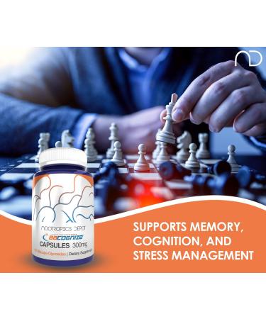 BaCognize Bacopa Monnieri Capsules 300mg - 240 Count | Ayurvedic Nootropic Brain Booster for Memory Cognition Mood & Stress Management - Buy Online on GoSupps.com