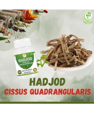 Morsan Healthcare Hadjod (Cissus Quadrangularis) Capsules | 500mg | Pack of 60 x 2 | Ayurvedic Herbal Supplement | Vegan Gluten-Free GMP Certified | Plant-Based Wellness Support - Buy Online on GoSupps.com
