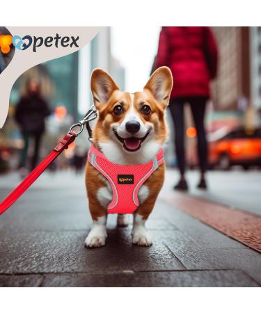 Petex Dog Harness for Small & Medium Dogs | TUV Tested Made in Europe Reflective & Breathable Air Mesh | Neon Pink 2XS - Buy Online on GoSupps.com