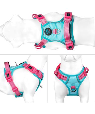 Buy Phoepet No Pull Dog Harness - Reflective Vest with Soft Training Handle for All Dog Sizes - Mint Green & Pink - Buy Online on GoSupps.com