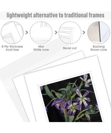 Golden State Art 8x10 Double Picture Mats, White Core, Bevel Cut - 10 Pack 11x14 White Over White (Mats, Backing, Clear Bags Included) - Buy Online on GoSupps.com
