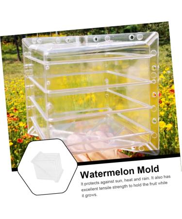 HOMSFOU Watermelon Shaping Vegetables Vegetable Growth Molds Strawberry Cup Fruit Forming Mold Tool Cucumber Ginseng Fruit 15x15cm Transparent - Buy Online on GoSupps.com