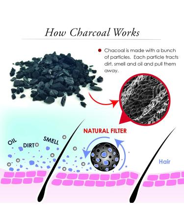 Sulfate Free Activated Charcoal Shampoo - Detox Clarify & Volumize with Organic Argan & Avocado 16oz International Shipping - Buy Online on GoSupps.com