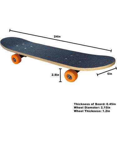 24 Inch Mini Cruiser Skateboard Complete for Kids - Lion King Design - Ideal for Boys, Girls, and Beginners - Buy Online on GoSupps.com