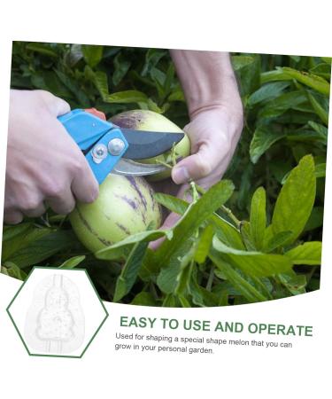KONTONTY 3pcs Vegetable Small Mould Growth Forming Ginseng Small Fruit Plastic Gourd - Buy Online on GoSupps.com