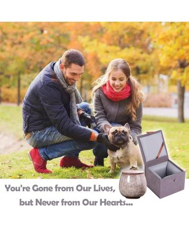 Mini Urns for Ashes Handicrafted Ceramic Ashes Urns for Dog Cat Small Pets Ashes Keepsake Memorial Gift Ashes Holder with Exquisite Box-Beige - Buy Online on GoSupps.com