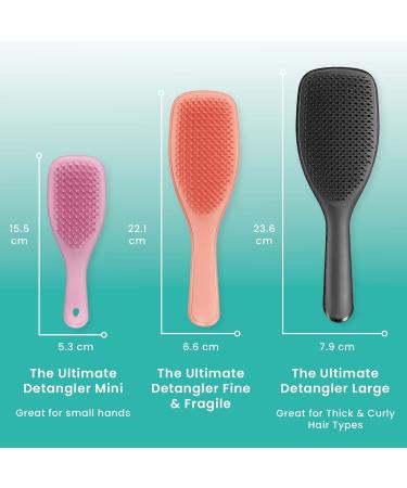 Tangle Teezer The Wet Detangler for Fine & Brittle Hair - Pink Dust | 1 Piece - International Shipping Available - Buy Online on GoSupps.com