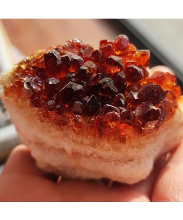 Crystals and Stones Natural Citrine Red Geode Decor Orange Quartz Crystal Cluster Rough Specimen Crafts Home Decor Gift 1pc (Color : Rojo Size : 120-200g) 120-200g Red - Buy Online on GoSupps.com