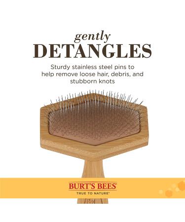 Burt's Bees Slicker Brush for Puppies - Gentle Grooming Tool | 1 Count - Buy Online on GoSupps.com