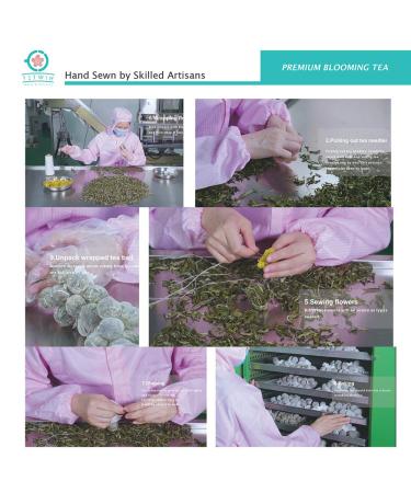 TETWIN Blooming Tea 12 Varieties Gift Canister - Hand-Tied Flowering Tea with White Tea Leaves and Edible Flowers (12 Count) - Buy Online on GoSupps.com