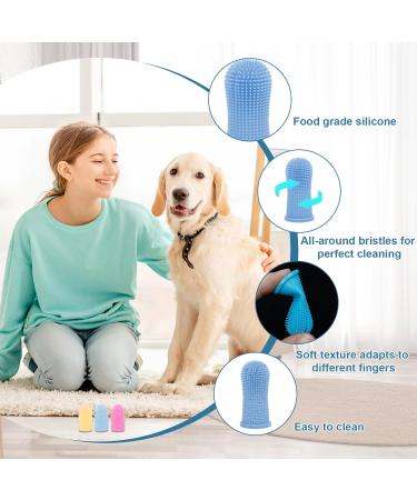 6-Piece Dog Dental Care Set | Toothbrush & Finger Brush with Storage Box | Pet Dental Hygiene for All Pets - Buy Online on GoSupps.com