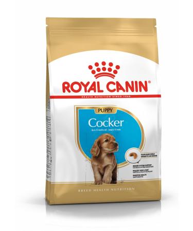ROYAL CANIN COCKER JUNIOR 3 kg bag/Kibble for COCKER puppies from 2 to 12 months
