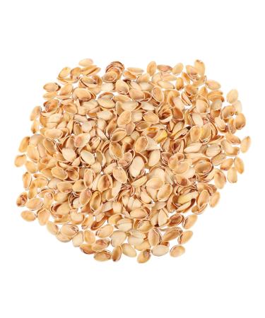 NUOBESTY 1 Pistachio Shell Kids Diy Craft Charms Turkish Diy Craft Accessories Nut Art Supplies Child