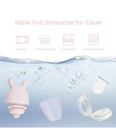 Baby Fruit Feeder Pacifier - Soft Silicone Teether for Teething Relief | Pink | 0-18 Months - Buy Online on GoSupps.com