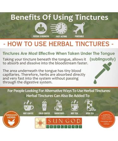 Sun God Medicinals Renew & Revitalize with Panacea Detox Tincture | Herbal Extract for Wellness | Natural Cleansing & Rejuvenation Formula | Boost Energy & Feel Refreshed | 1oz - Buy Online on GoSupps.com