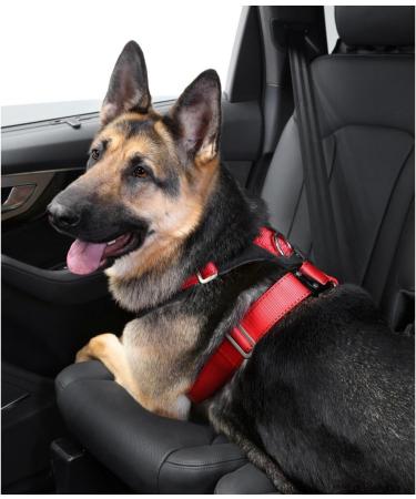 Kleinmetall Dog Safety Belts Allsafe Comfort XL - Premium Pet Travel Restraint for Safe International Shipping - Buy Online on GoSupps.com