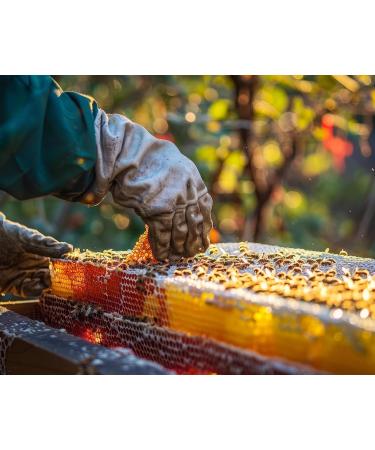 Bee Pollen Honey All-Natural Nutrient-Rich Superfood Packed with Vitamins Minerals and Antioxidants Supports Energy Levels (200g) - Buy Online on GoSupps.com