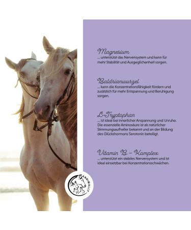 Annimally Monk Pepper Liquid for Horses 1000ml - Ashwagandha & Magnesium for Hormonal Restlessness & Rose Behavior - Liquid Alternative to Powder - Buy Online on GoSupps.com