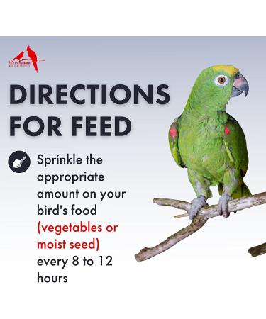 Morning Bird Avian Calming Formula - 1 oz - Non-Sedating Anxiety Relief for Nervous Birds - Buy Online on GoSupps.com
