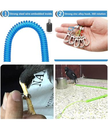 Vogelleine Parrot Dish Leash & Anti-Bite Bird Dishes - 5m Adjustable Training Rope (2 Pieces Blue & White) - Buy Online on GoSupps.com