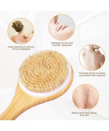 Frava Long Handle Bath Brush Back Scrubber - Exfoliating Shower & Bath Body Brush (15.7 Inches) - Buy Online on GoSupps.com