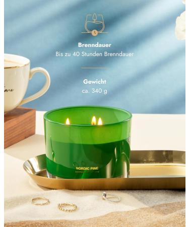 96North Luxury Candles | Kiefer 3-Wick Fragrance Candle | 100% Natural Soy Wax | 40-Hour Burn Time | Perfect Wedding Day Gifts | Nordic Pine Scent - Buy Online on GoSupps.com