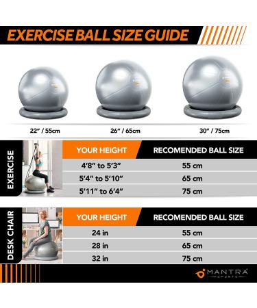 Gray Exercise Ball Chair with Resistance Bands - 55cm, for Yoga, Pilates, Fitness, Home Gym, Office, Pregnancy & Physio - Stability Base & Poster Included - Buy Online on GoSupps.com