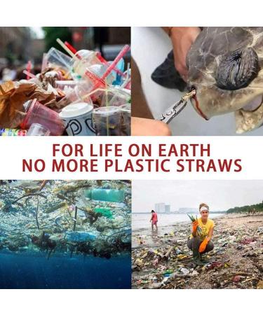 Chargenyang 2 Pack Telescopic Reusable Straw Collapsible Stainless Steel Straws Portable Metal Drinking Straws with Aluminum Key-Ring Case & Cleaning Brush for Travel Home Work.(Black and Rose Gold) - Buy Online on GoSupps.com