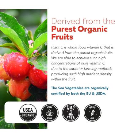 Organic Vitamin C | Whole Food Vitamin C from Fruit Plus Absorption Enhancing Cofactors - Vegan Enhanced Bioavailability - Immune Support Antioxidant Total Health (90 Servings) - Buy Online on GoSupps.com