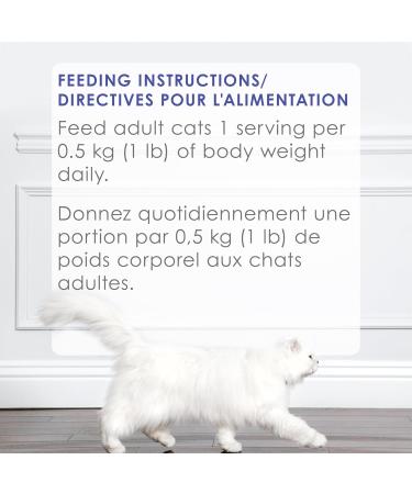 Fancy Feast Petites Wet Cat Food Pate Tender Turkey Entree - 79.4 g Tray (12 Pack) Turkey with Sweet Potato 12 - Buy Online on GoSupps.com