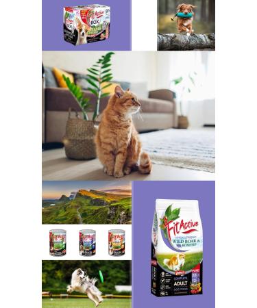 Pure - Wild Boar SMALL - Hypoallergenic Dog Food - Chicken/Wheat Free - Wild Boar Flavor - Small Breeds - 3 kg - Buy Online on GoSupps.com