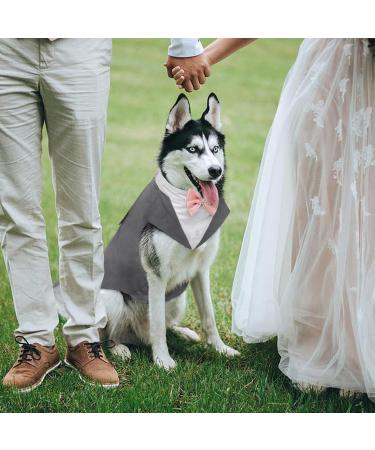 Kuoser Dog Smoking Suit & Bandana Set - Stylish Pet Formal Wear for Weddings Halloween & Birthdays - Comfortable Costume for Dogs S-XXL (29 cm Gray) - Buy Online on GoSupps.com