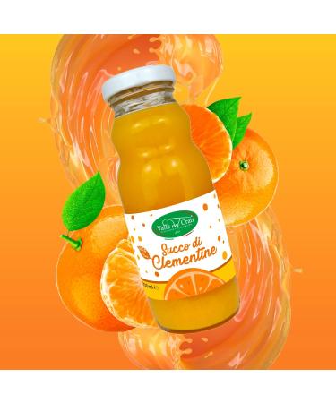 Valle del Crati Clementine Juice 100% Pure No Added Sugars and No Colourings or Preservatives Delicious and Refreshing Juice 12 bottles of 200 ml - Buy Online on GoSupps.com