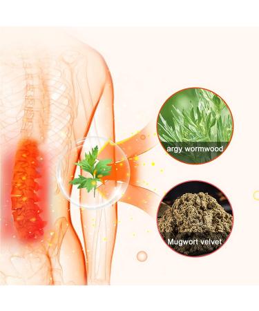 Lumbar Support Back Brace - Self-Heating Wormwood Waist Belt for Natural Relief from Waist Pain - Breathable Lower Back Support Belt in Gray - Buy Online on GoSupps.com