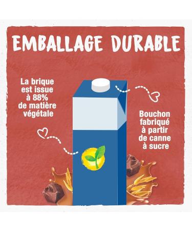 BJORG- Boisson Avoine Cacao - La brique de 1l - Buy Online on GoSupps.com