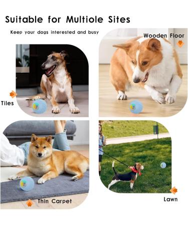 Interactive Self-Strolling Dog Toy Ball - Automatic Remote Control Play with Wicked Ball for Intelligent Dogs - Blue - Buy Online on GoSupps.com