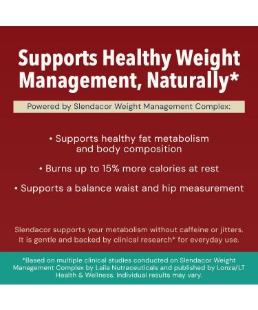 AMAXI Plantium Total Nutrition Premium All-in-One Meal Replacement Shake Plant-Based Protein Powder with Vitamins Minerals & Probiotics 22g Protein per Serving Strawberry - Buy Online on GoSupps.com