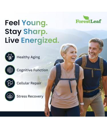 NAD+ Supplement - 500mg of Pure NAD Plus for Energy Focus Skin & Anti-Aging Support - Gluten Free Non-GMO NAD Supplements for Women & Men (60 Count NAD +) NAD+ 60 Count (Pack of 1) - Buy Online on GoSupps.com